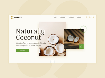 Go Nuts design graphic design logo natural responsive ui ux web webdesign website