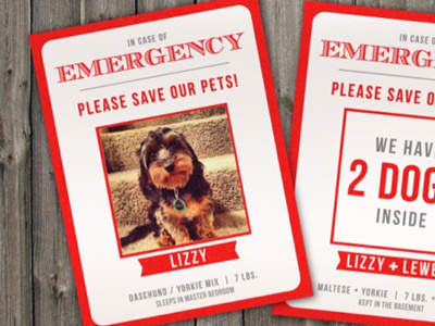 Custom In Case of Emergency Pet Cards birds cats dogs emergency graphic design kittens layout puppies puppys rescue typography