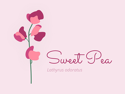 Sweet Pea design figma illustration vector