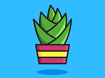 Potted Plant