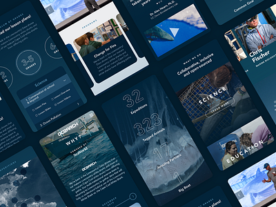 Ocearch Website interaction mobile ocean responsive ui design underwater web web design