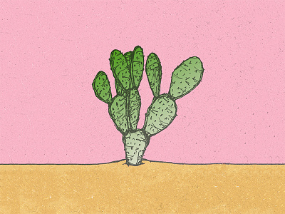Cactus cactus digital drawing illustration illustrator landscape pink plants