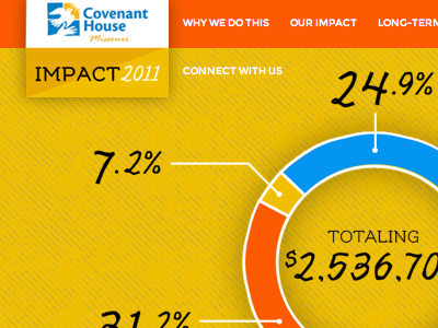 Covenant House 2012 Online Annual Report annual report graph non profit online annual report