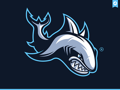 Shark Mascot Illustration branding design didier esport gaming graphiste illustration laureaux logo mascot shark shark logo