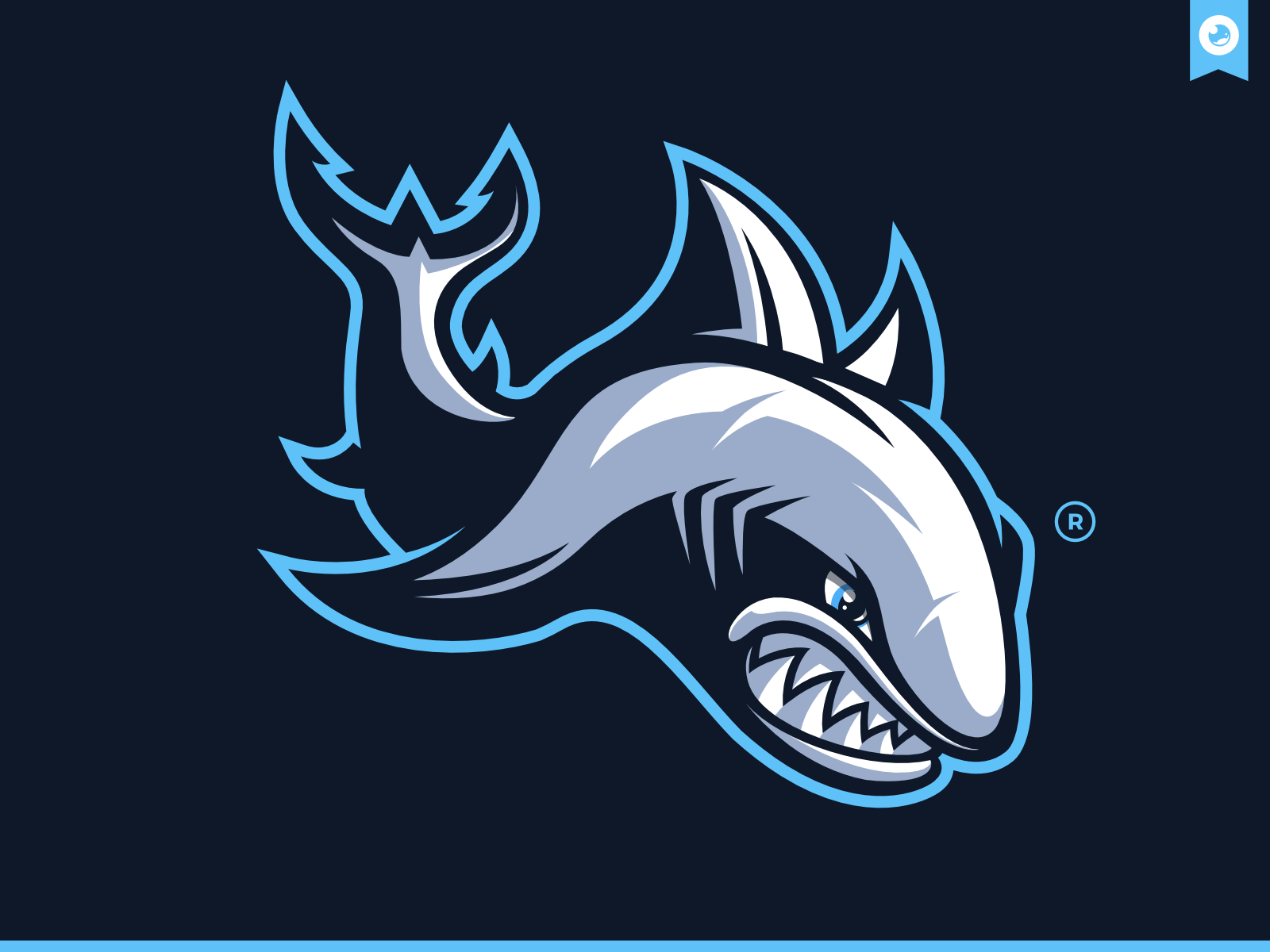 Shark Mascot Illustration by Chez Did's🌺 on Dribbble