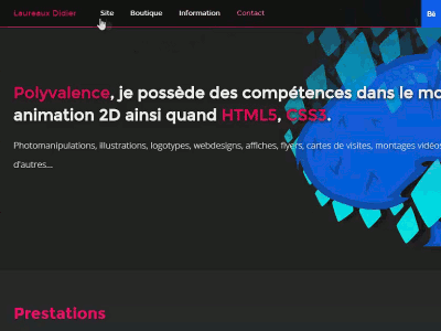 Personnal Website - Store boutique css didier html laureaux store webdesign