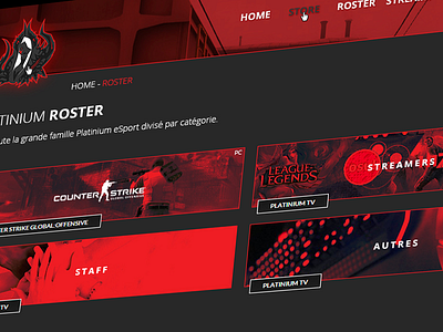 Platinium Redesign - Team Page didier esport laureaux page platinium red team webdesign