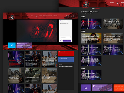 Platinium Redesign - Other Page didier esport laureaux page platinium red team webdesign