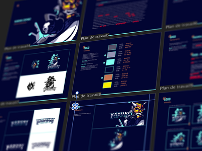 Guidelines Preview // Behance Project didier esport gaming guidelines laureaux logo mascot project