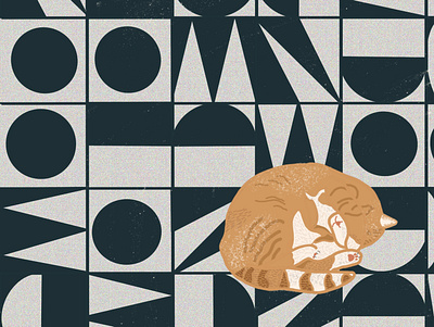 Sleeping Cat artwork character art design illustration illustration design procreate art