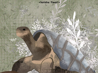 Giant Tortoise animal art animal illustration artwork character art character concept design graphic design illustration illustration design