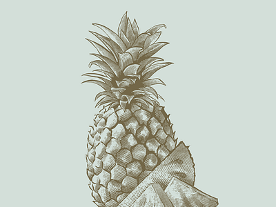 Illustration based on engraving effect for a packaging project classic design engraving fruit gummies illustration packaging pineapple project vintage