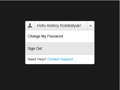 User Account Dropdown disruptive password select sign out support user