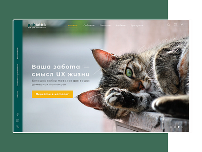 PetCare shop animal design logo ui ux web webdesign zoo