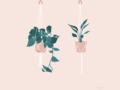 Macrame & Plants art art direction design drawing flower illustration illustration art macrame plant procreate procreate art