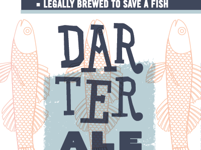 Darter Ale beer beer packaging conc type typography