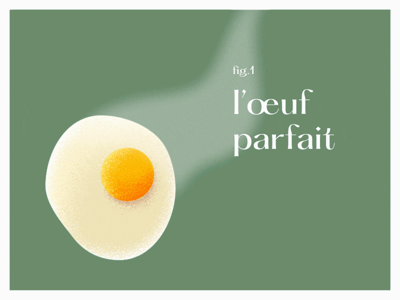 l'oeuf parfait cooking egg hot illustration motion oeuf parfait perfect smoke sunny side up texture