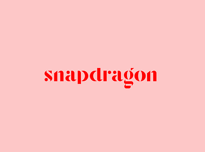 Snapdragon logotype branding typography