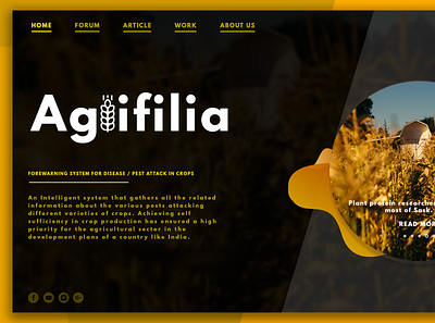 Agrifilia (UI Project) branding design flat icon illustration minimal ui ux web website