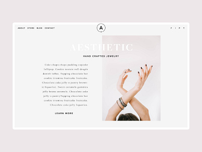 Aesthetic - Intro Section simple typography user interface design web design