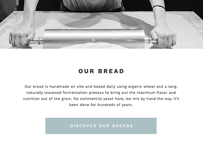 a baked joint - sneak peek digital food minimal simple ui design ux design web