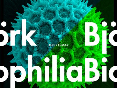 Pollen bjork blue design green nature pollen science typography