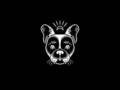 Voodoo Pets Illustration branding branding design graphic design illustration logo web design