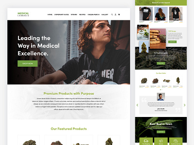 Medical Cannabis - Homepage UI homepage ui web web design web ui website design