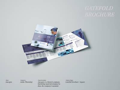 amcogen brochure design brochure mockup gatefold graphicsdesign trifold brochure