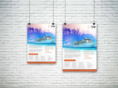 TRIP MERCHANT MOCKUP flyer flyer design flyer mockup graphicsdesign poster design