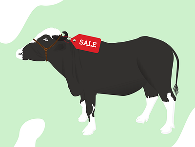 Cattle Trading Illustration cattle figma illustration illustrator indian cattle indian llustration sketch