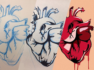 Heart Illustration Process digital heart illustration process sketch