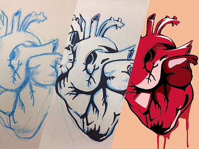 Heart Illustration Process