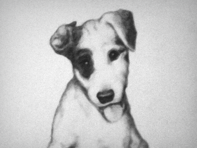 Sir Loin dog drawing graphite pencil puppy