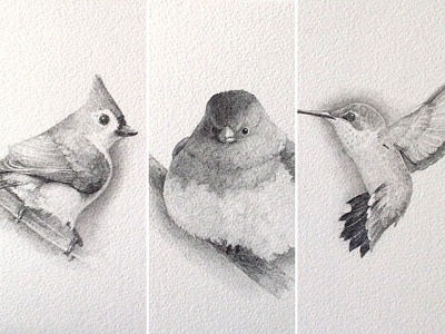 Birds Triptych