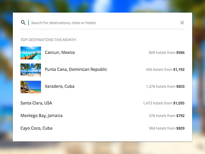 Travel Website Search