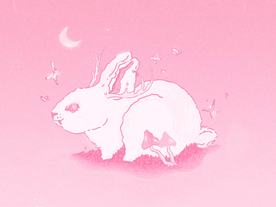 Magical Bunny | Animated Illustration in pink animal animated illustration animation atmosphere branding bunny cute animal design drawing graphic design illustrated illustration magic magical motion graphics pink textures