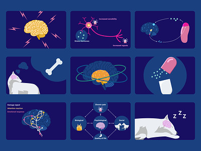 Brain & Science illustrations | Blog content blog brain illustration medical science scientific ui ui design