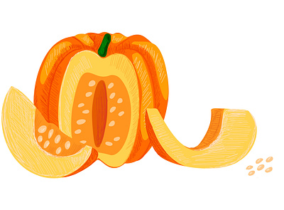 pumpkins4 cut design drawing farming halloween harvest illustration kitchen modern style natural pulp pumpkin slice vector vegetables whole