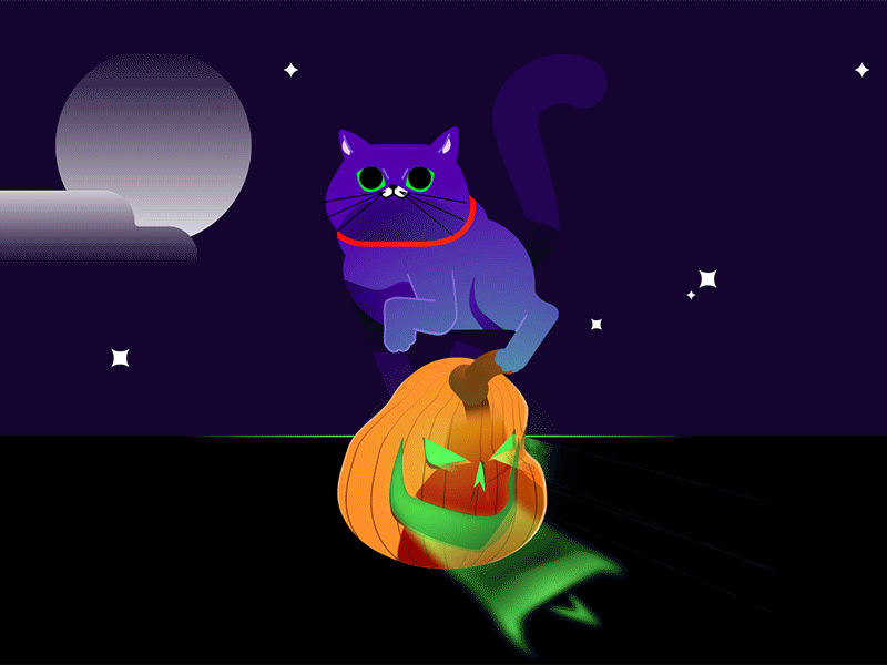 Cat and Pumpkin animation cat cat animation cat illustration character design gato halloween illustration light moon motion pumpkin purple spooky vector