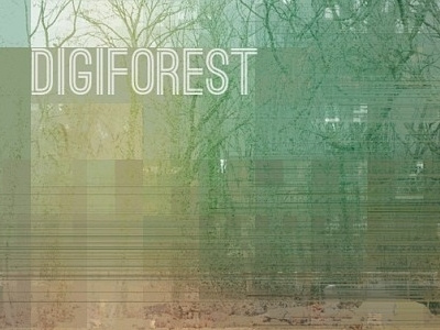 D I G I F O R E S T digitalism forest glitch iphone textures trees woods
