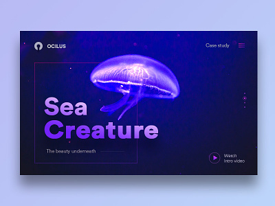 Ocilus-Web case clean intro ocean sea site study ui ux video web