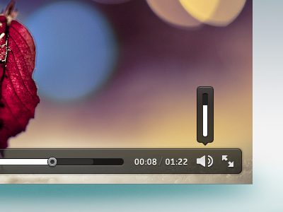 Video Player Detail