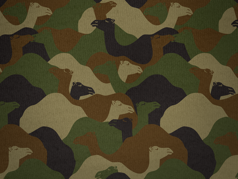 Camo camouflage camels pattern