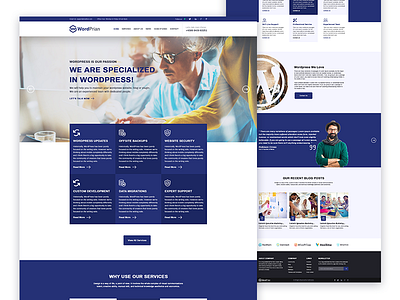 Homepage Layout