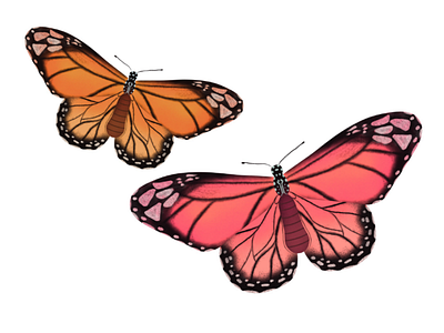 Butterflies in Procreate | iPad Art