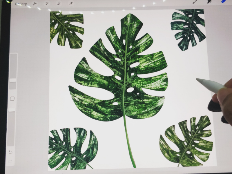 Premium Photo | A drawing of a monstera plant