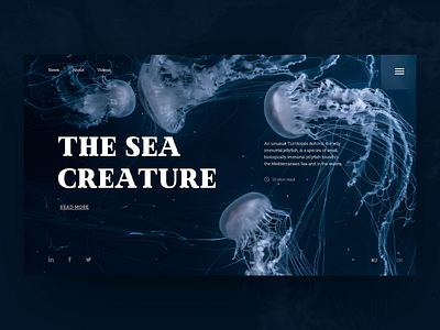 Jellyfish dark concept animal blue concept daily dark design jellyfish ocean sea ui water web