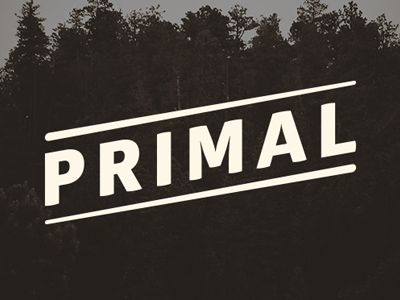 Primal Branding branding