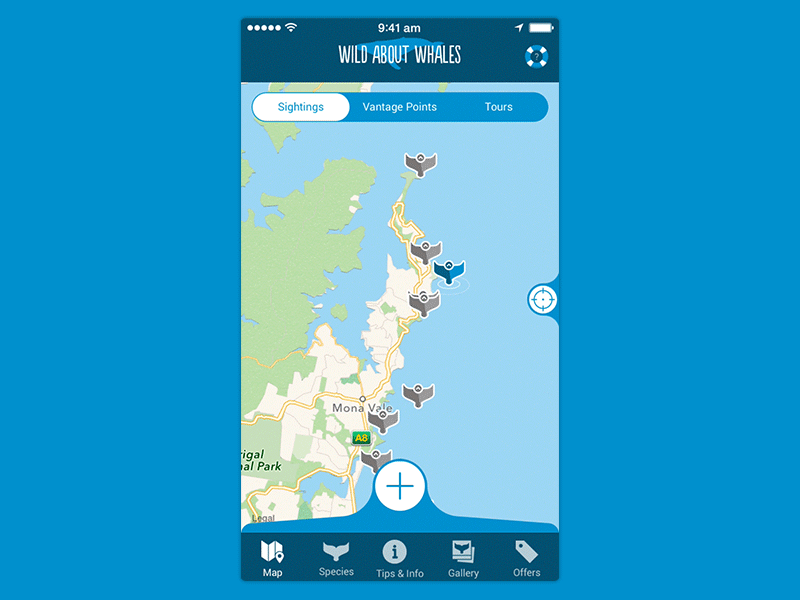 Wild About Whales! animation ios ui ux